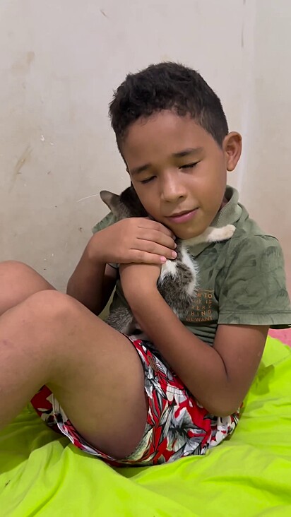 Agora a família tem um preá, um cão e três gatos.