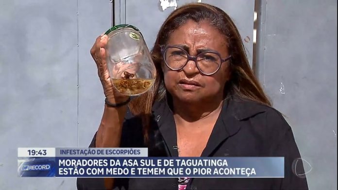 Moradores da Asa Sul e Taguatinga estão preocupados com infestação de escorpiões - Brasília