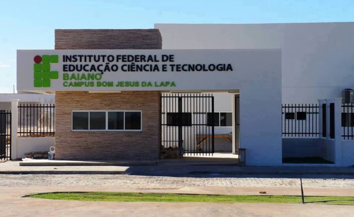 Oportunidade de trabalho! Instituto Federal abre seleção. veja como se inscrever