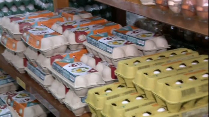 Preço de arroz e ovo disparam em supermercados de Belo Horizonte