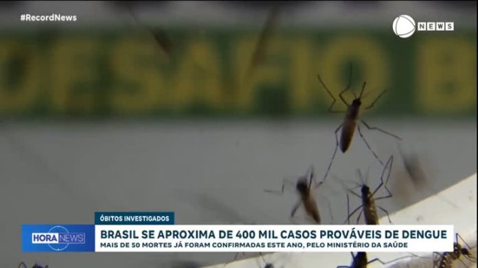 Primeira morte por dengue na Grande São Paulo é registrada - Notícias