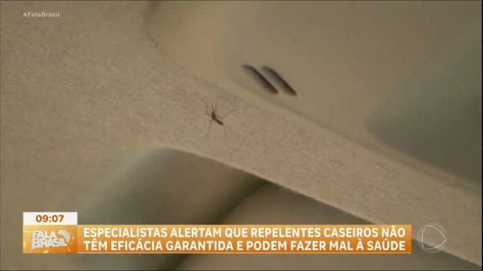 Repelente caseiro contra a dengue funciona? Especialista alerta para o perigo de produtos não aprovados - RecordTV