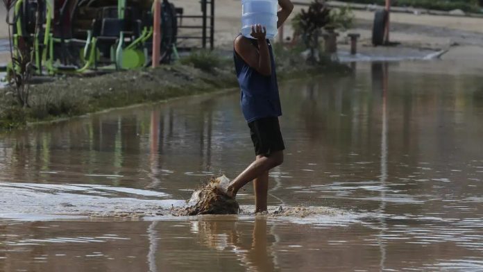 Rio de Janeiro alerta para possíveis novos casos de leptospirose - Notícias