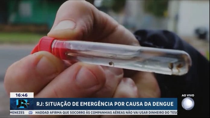 Rio de Janeiro decreta estado de emergência em saúde com mais de 11 mil casos de dengue - JR 24H