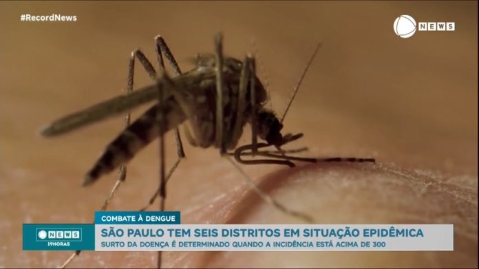 Seis distritos entram em situação epidêmica de dengue em São Paulo - Notícias