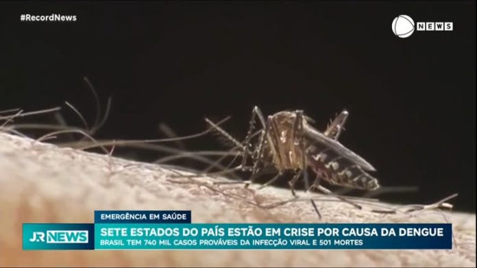 Sete estados do Brasil estão em crise devido à dengue - Notícias