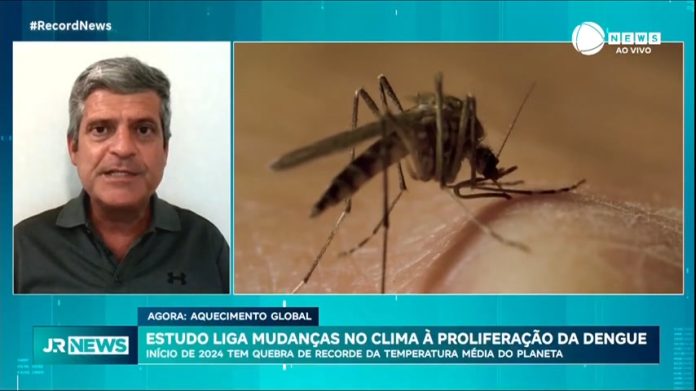 'Só deve piorar': mudanças climáticas vão turbinar a proliferação da dengue, diz especialista - Notícias