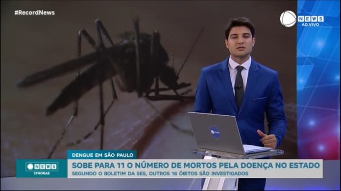 Sobe para 11 o número de mortos pela dengue em São Paulo - Notícias