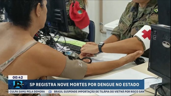 Sobe para nove o número de mortes por dengue no estado de São Paulo - JR 24H