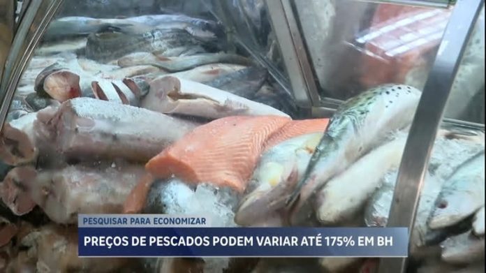 Variação de preços em pescados pode chegar a 175% em mercados de BH