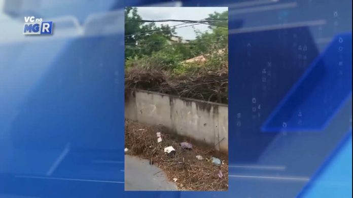 Você no MGR: pais reclamam de matagal e bota-fora em calçada de creche em Betim (MG)