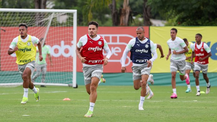 Abel Ferreira ganha reforço polivalente para melhorar o Palmeiras