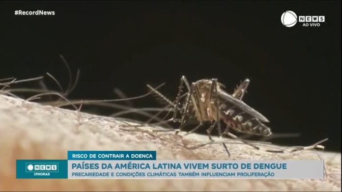 Além do Brasil, países da América Latina vivem surto de dengue - Notícias