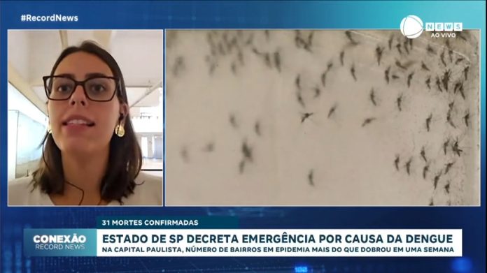 Anúncio de estado de emergência é estratégia paulista para responder ao avanço da dengue - Notícias