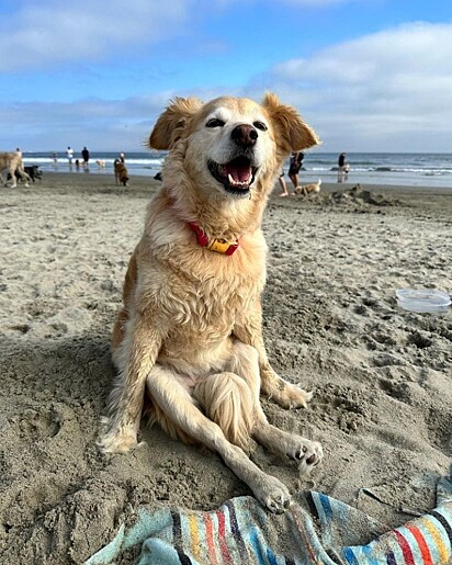 Apesar das adversidades, Scooty é muito feliz.