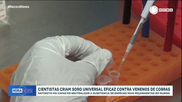 Cientistas criam soro universal eficaz contra venenos de diversas espécies de cobras - Notícias