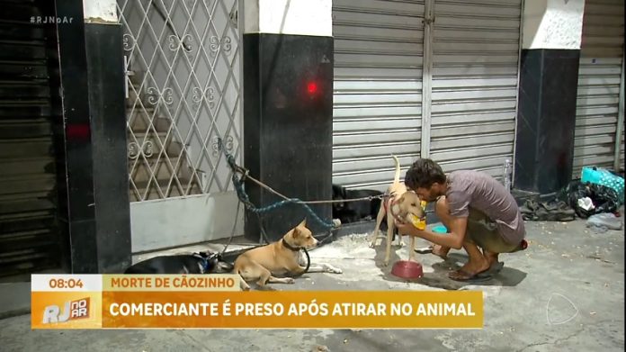 Comerciante é preso após matar cachorro na zona oeste do Rio - Rio de Janeiro