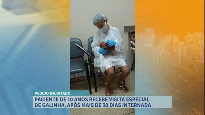 Criança recebe a visita de galinha de estimação no hospital