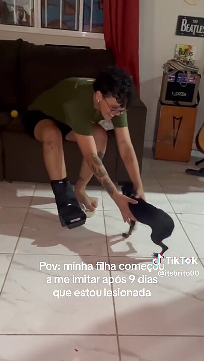 A tutora não acreditou na ação da cachorrinha.