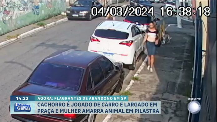 Dentro da Notícia : Câmeras de segurança registram abandono de animais na zona leste de SP - Balanço Geral