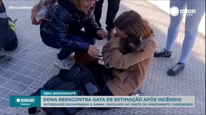 Emocionante: mulher reencontra gato após oito dias de incêndio em prédio - Notícias