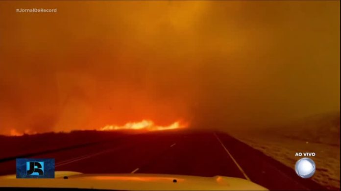 Empresa de eletricidade assume responsabilidade pelo maior incêndio florestal do Texas (EUA) - Notícias