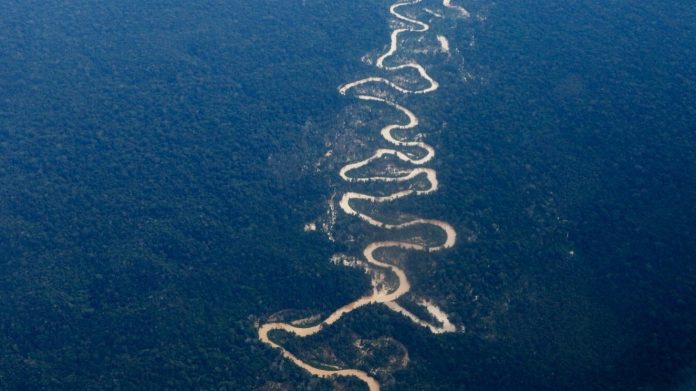 Garimpo ilegal na Amazônia devastou área equivalente a quatro campos de futebol por dia em 2023 - Notícias