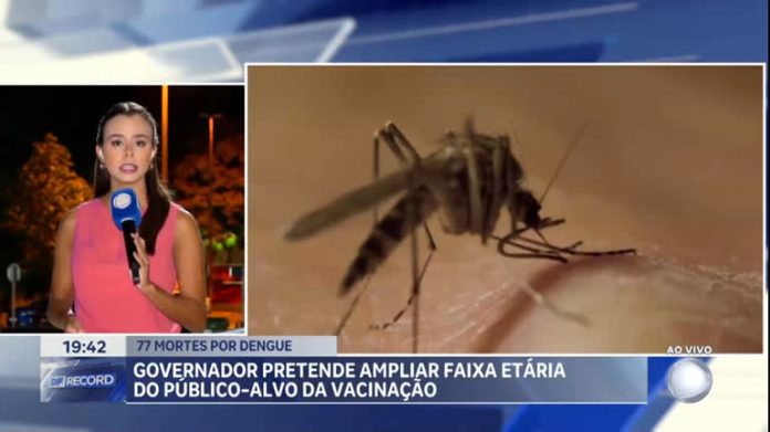 Governo quer ampliar faixa etária de vacina contra a dengue no DF - Brasília