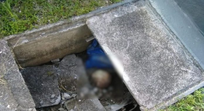 Homem se depara com cena chocante ao visitar túmulo do pai em cemitério de Florianópolis - Cidades