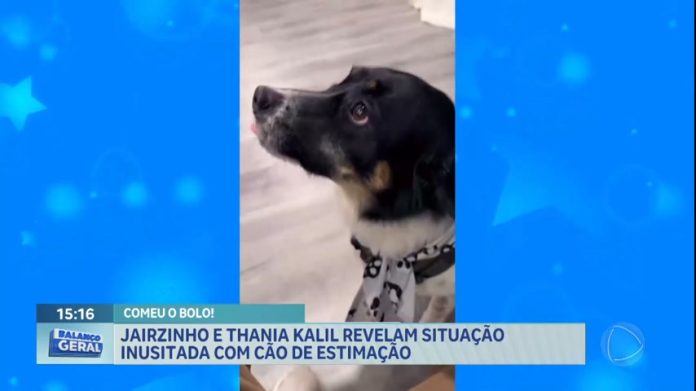 Jairzinho e Thania Kalil revelam situação inusitada com cão de estimação - Brasília