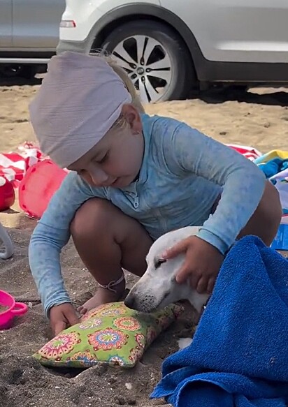 Francisca garantindo o conforto do pet enquanto ele está deitado na areia.