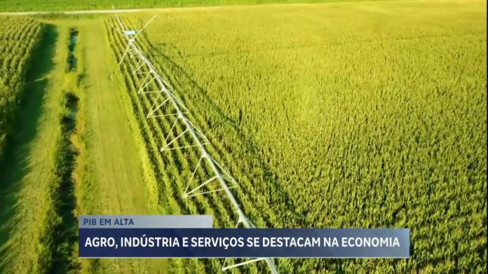 MGR Economia: agropecuária cresce em 2023 e impulsiona PIB brasileiro