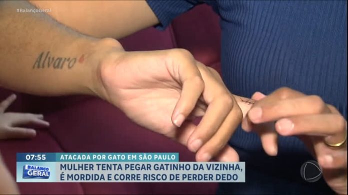 Mulher corre risco de perder um dedo após ser mordida pela gata da vizinha - RecordTV