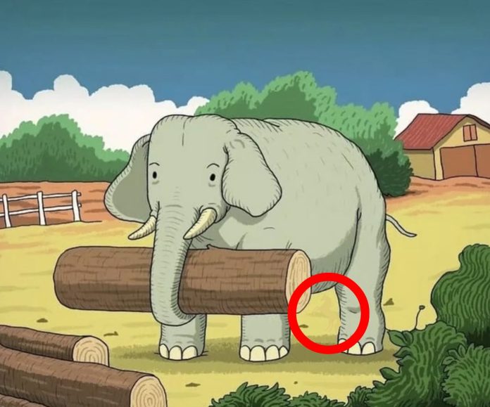 Não se deixe enganar: além do elefante, há um cavalo na imagem: onde ele está?