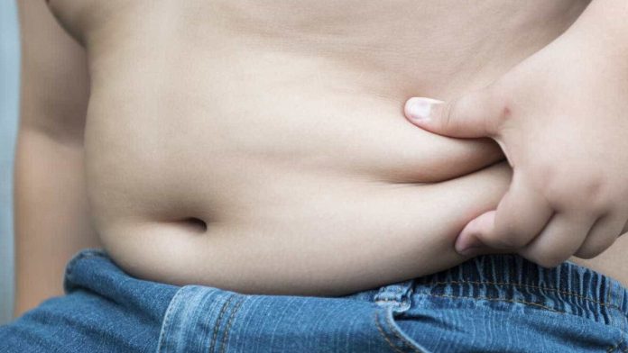 Obesidade atinge 22% da população do Distrito Federal, aponta pesquisa - Notícias