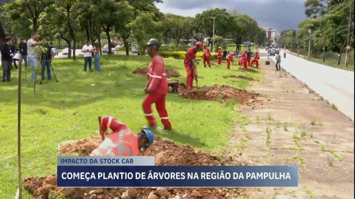 Plantio de árvores coordenado pela prefeitura começa em BH