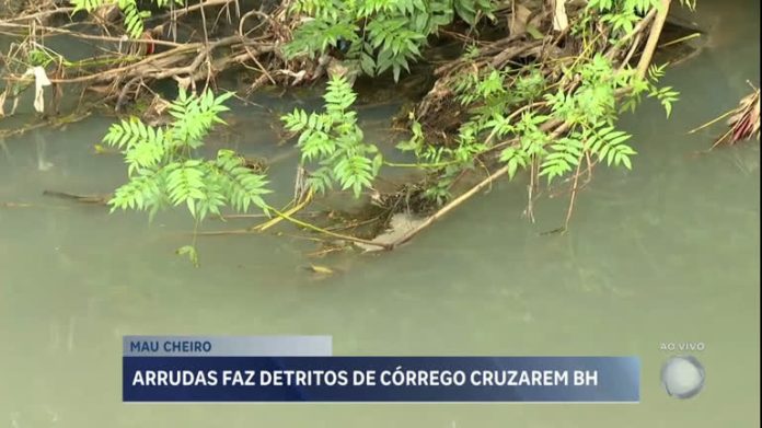 Prefeitura aponta que emissão irregular de dejetos químicos pode ser causa de mau cheiro em BH