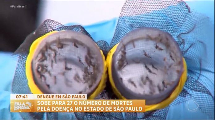 Sobe para 27 o número de mortes por dengue no estado de São Paulo - RecordTV