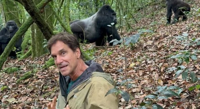 Victor Fasano mostra encontro com gorilas em floresta africana: 