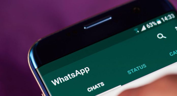 WhatsApp prepara novidade: lista de favoritos em chamadas - Tecnologia e Ciência