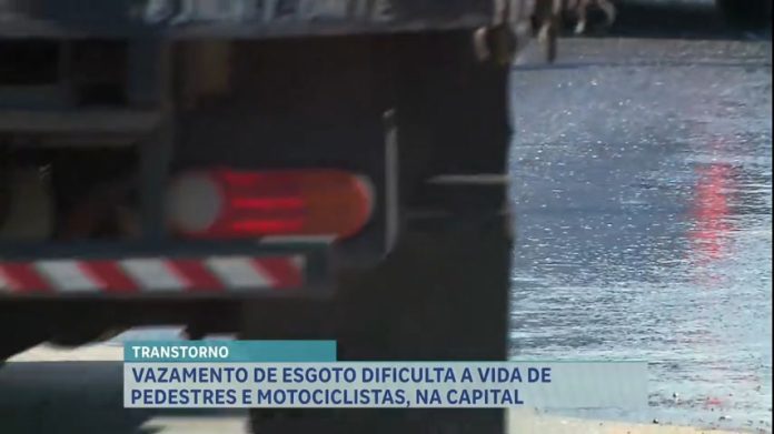 Vazamento de esgoto preocupa quem passa por avenida movimentada de BH